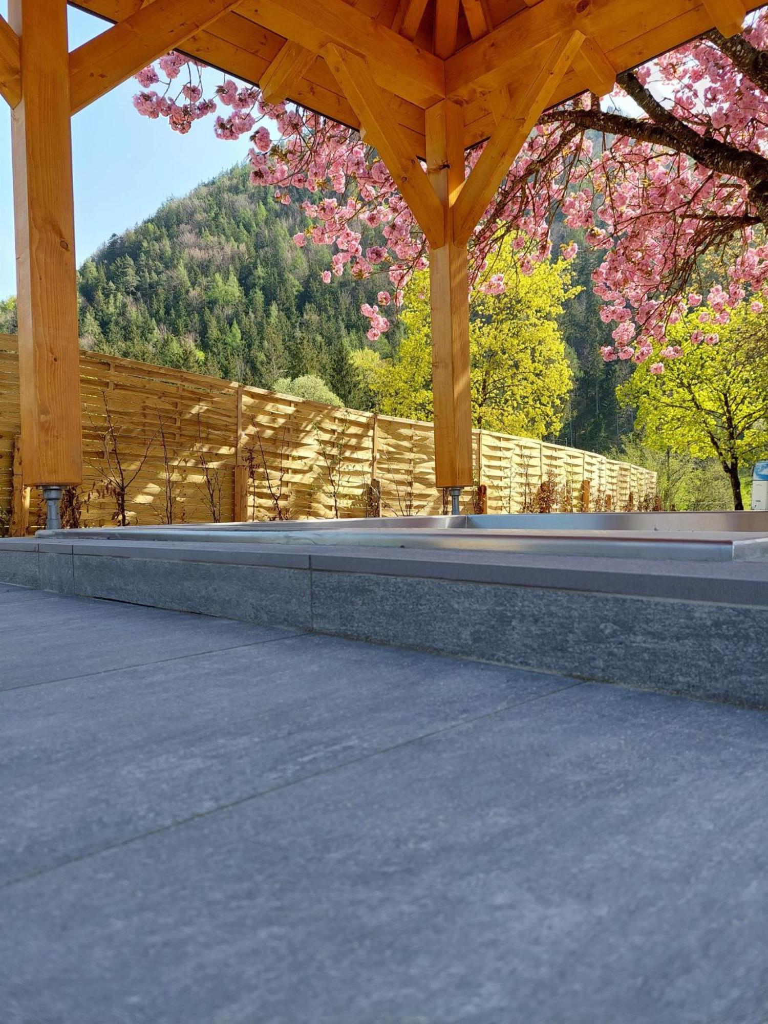 Hofpower'S Mountain Feeling Apartment ฮินเทอร์ชโตเดอร์ ภายนอก รูปภาพ