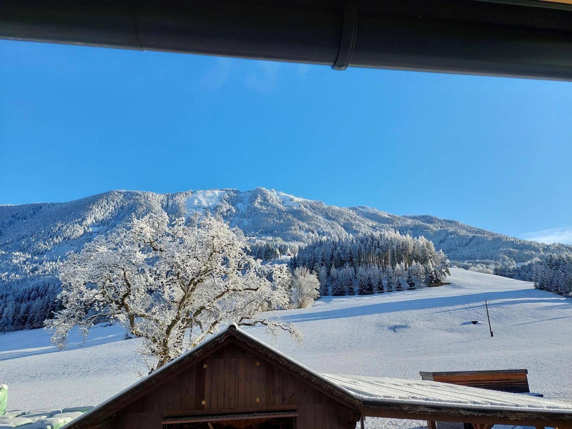 Hofpower'S Mountain Feeling Apartment ฮินเทอร์ชโตเดอร์ ภายนอก รูปภาพ