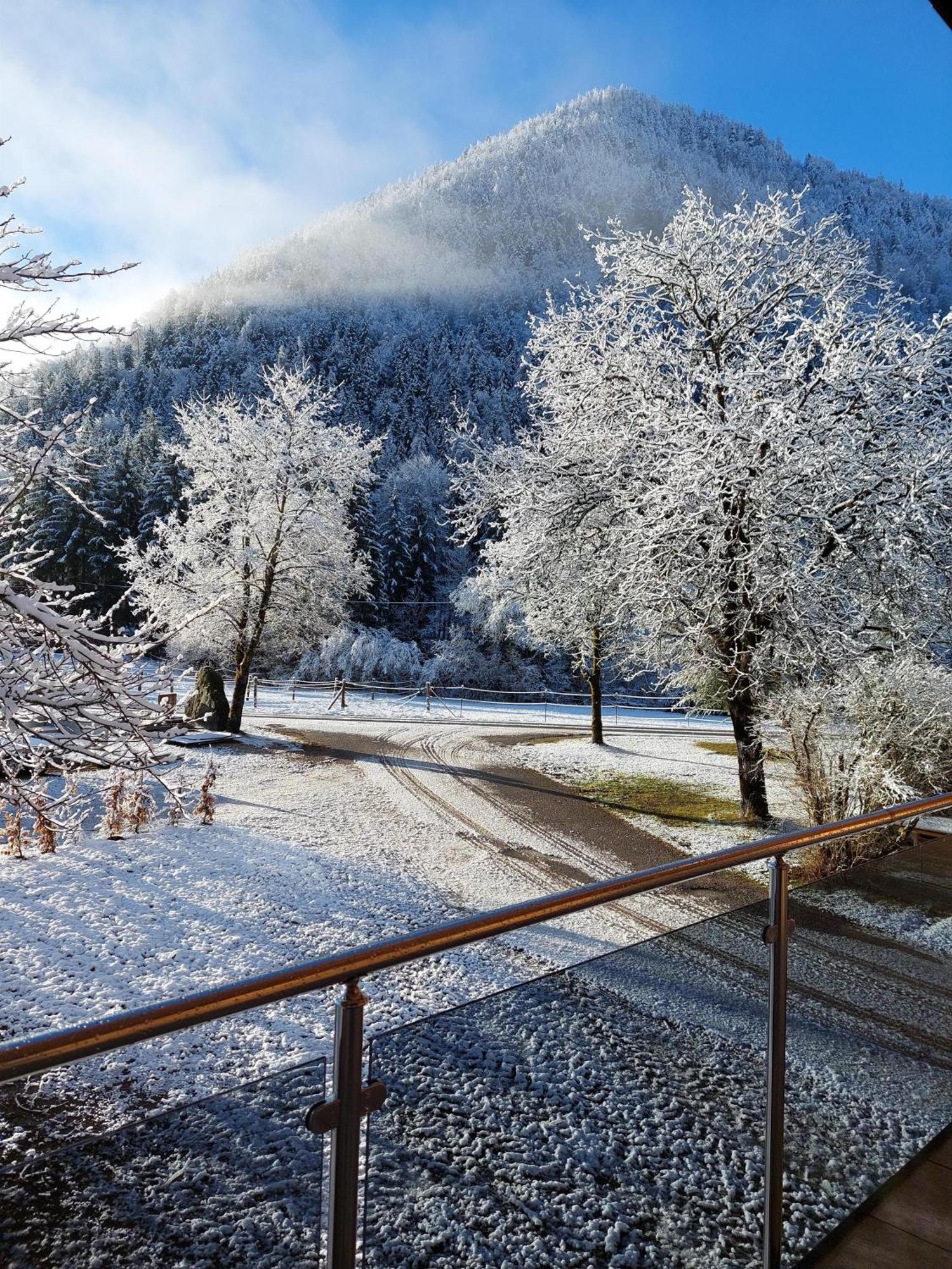 Hofpower'S Mountain Feeling Apartment ฮินเทอร์ชโตเดอร์ ภายนอก รูปภาพ